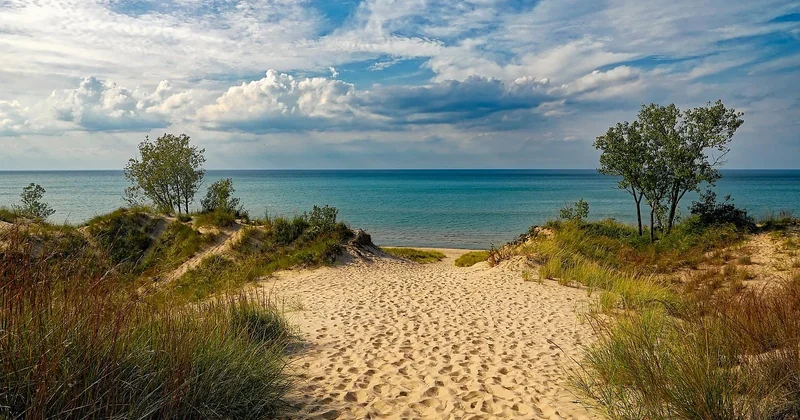 What are the rights of a renter in Michigan without a lease?